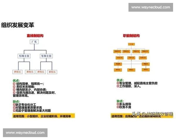 梯队建设驱动组织发展：优化人才结构与协作模式的系统性探索