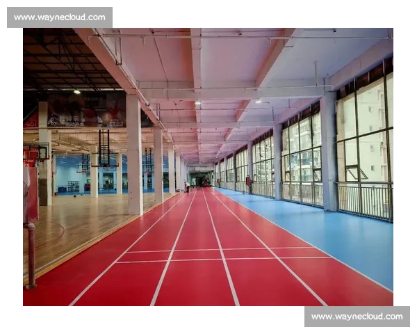 综合体育馆周边运动休闲设施规划与功能优化研究